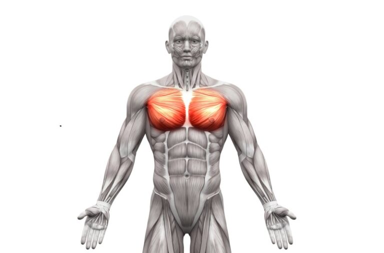 Velký prsní sval – diagnostický trojský kůň