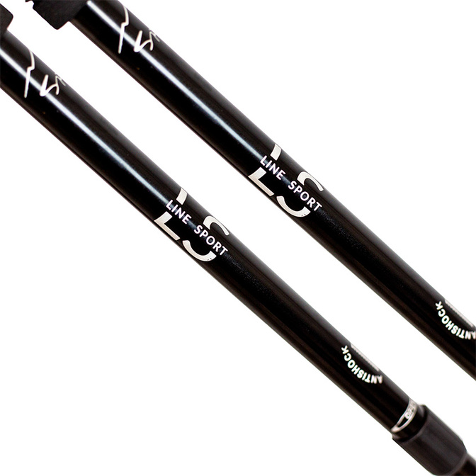 Trekové hole na nordic walking Line Sport