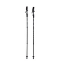 Trekové hole na nordic walking Line Sport