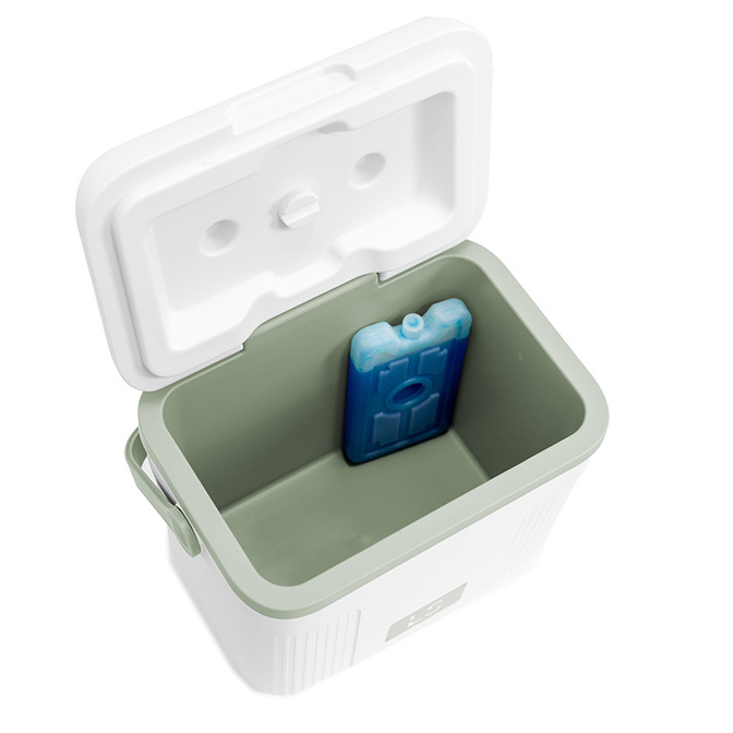 Přenosná cestovní chladnička Line Sport 10L