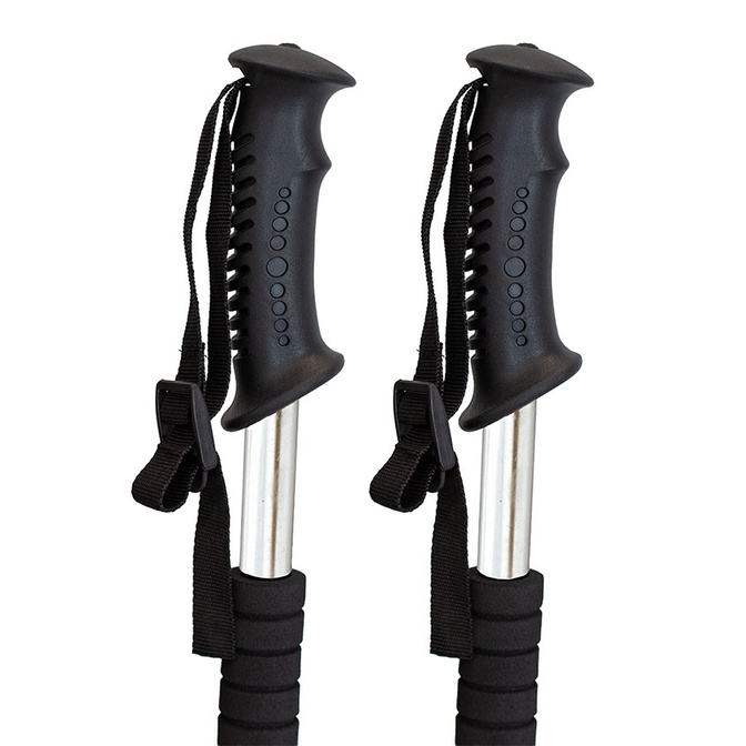 Trekové hole na nordic walking Line Sport