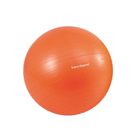 Gymnastický míč Gym Ball Sanctband 22 cm, oranžový