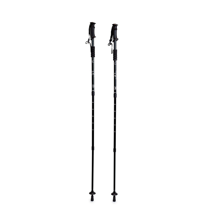 Trekové hole na nordic walking Line Sport