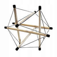 Model Tensegrity